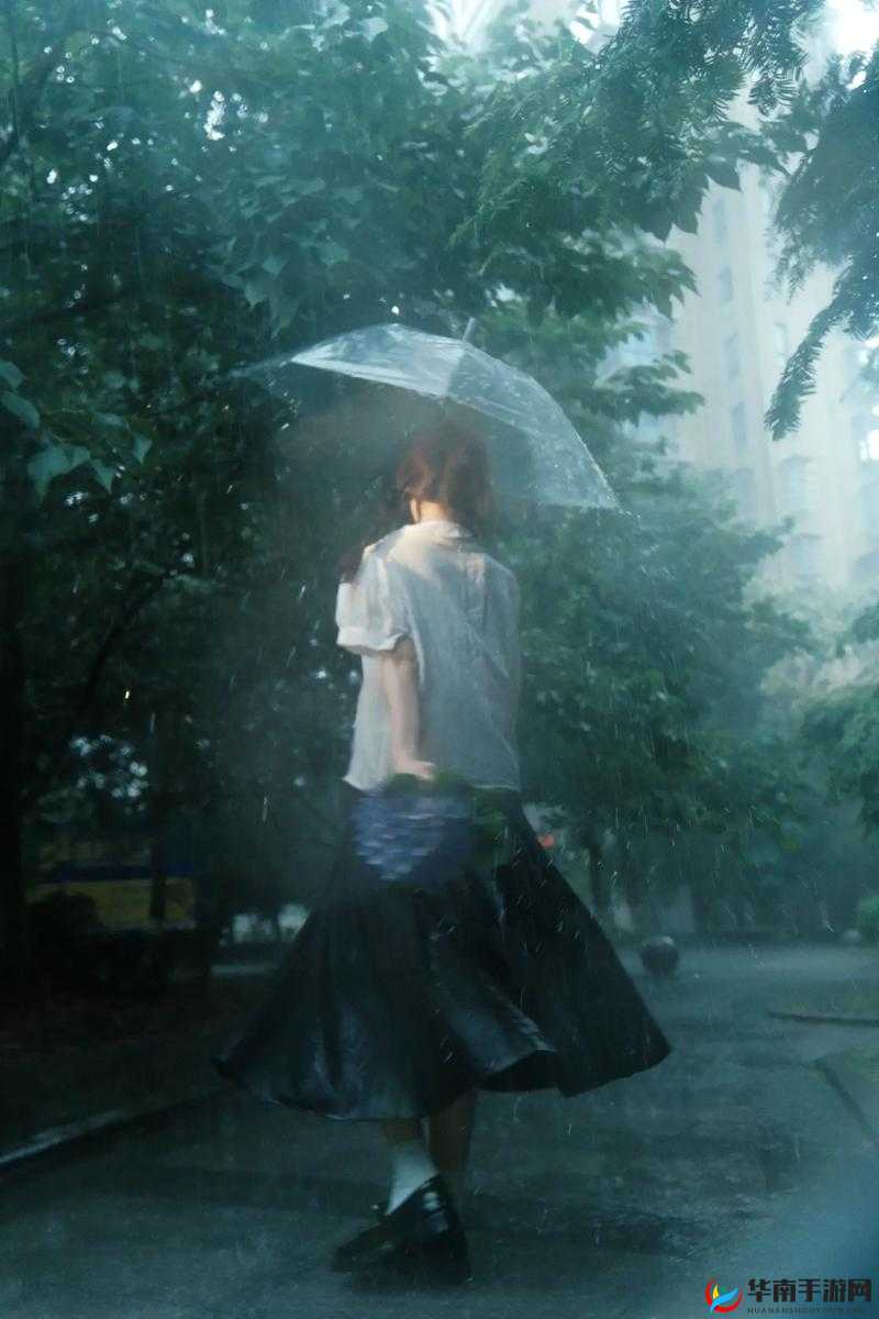 雨欣的摄影艺术：捕捉人文与自然的和谐瞬间，感受每一滴雨中的情感与故事