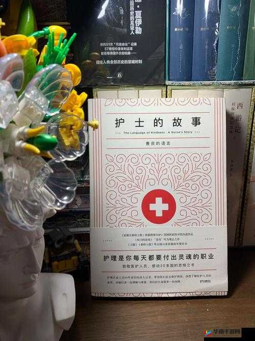 护士 69XXⅩ：揭秘背后的故事