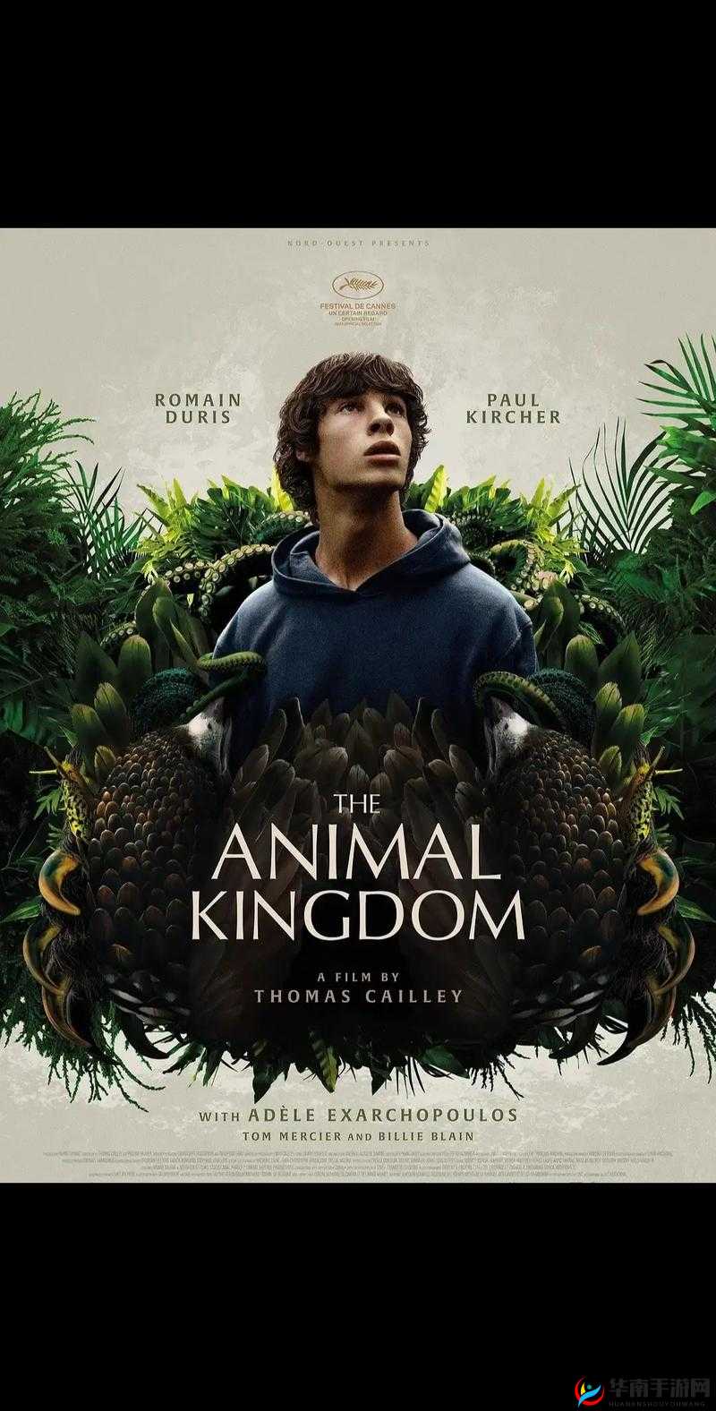 人物动物高清在线观看定档:最新热门影片抢先看,高清画质畅享视觉盛宴