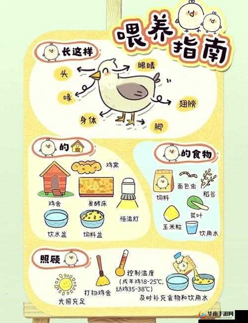 吃鸡吃一半软了,到底是何原因?快来一探究竟吃鸡吃一半软了怎么回事?是食材问题还是烹饪手法不对?令人困惑吃鸡吃一半软了,究竟是哪里出了差错?