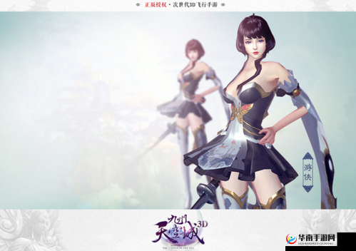 九州天空城3D职业深度解析,游侠