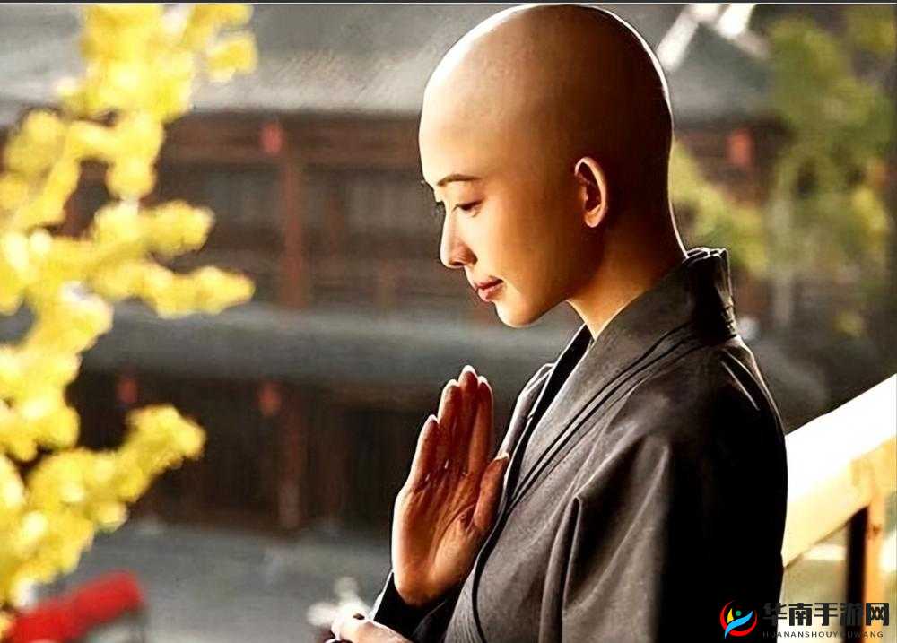 尼姑修的是什么？揭秘佛教尼姑修行生活与精神追求的全方位解析