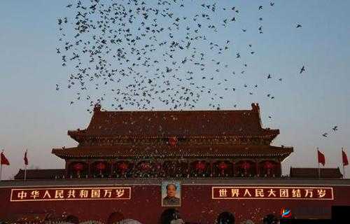 大团结闪闪发光全文免费阅读目录大揭秘，想知道都有哪些精彩内容吗？