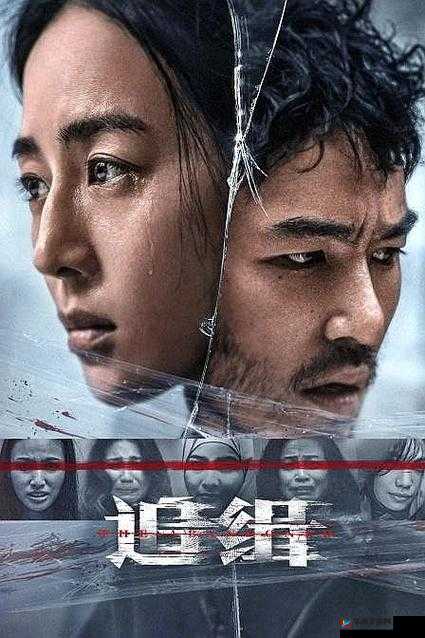 拨萝卜高清电视剧大全连续免费：无尽精彩，一网打尽