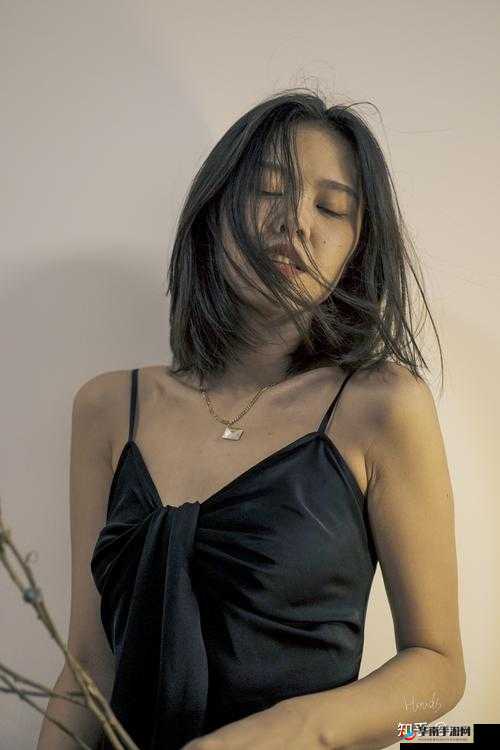 FreeHD人妻少妇XXXx：探索现代婚姻中的情感与挑战，深度解析家庭关系的微妙变化