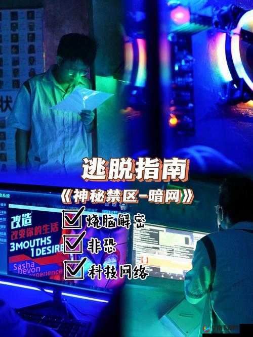 探秘秘密网站入口,究竟隐藏着怎样不为人知的秘密与精彩?快来一探究竟