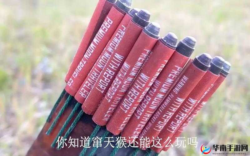 窜天猴网最新版本更新,你想知道有哪些惊喜吗?