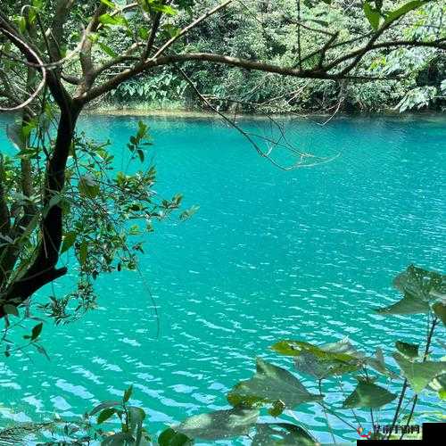 修真职业介绍-紫云谷篇