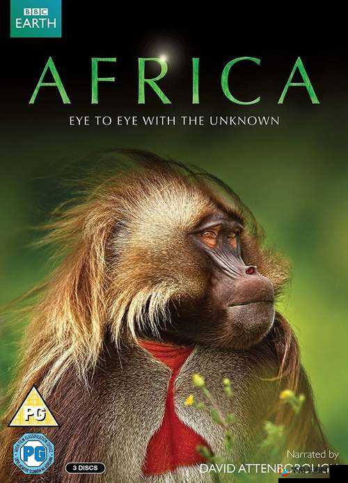 非洲电影免费观看投屏哪里有?如何轻松实现非洲电影免费观看投屏?