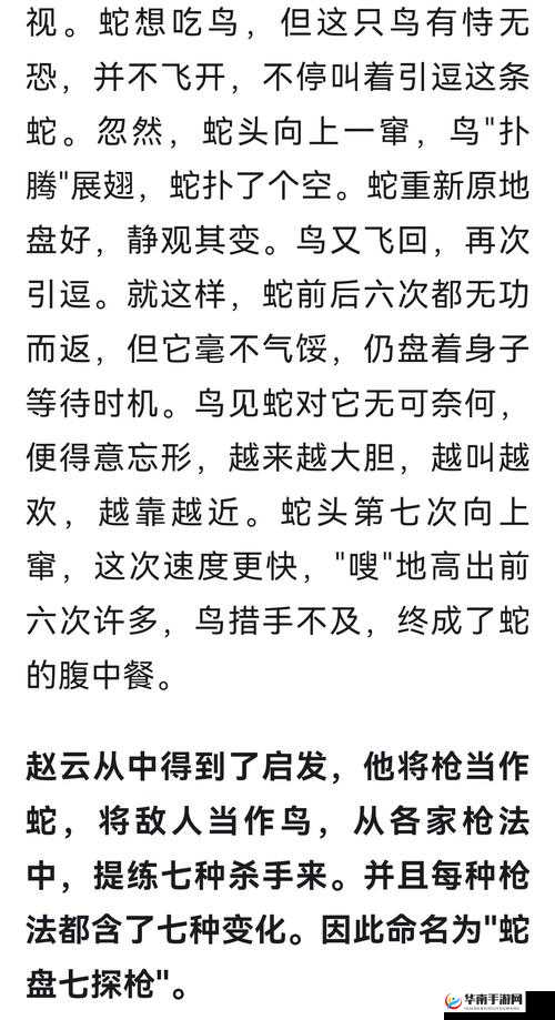 姬斗无双武将介绍之赵云，底层逻辑与实战操作全解析