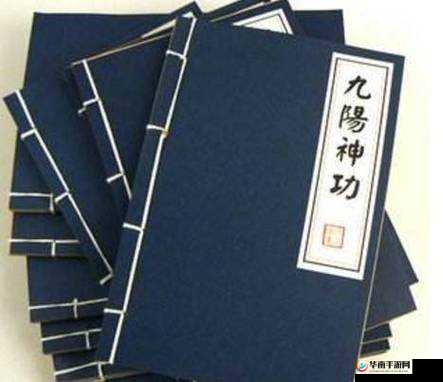 逍遥吟心法选择深度剖析,九阳神功的奥义之旅