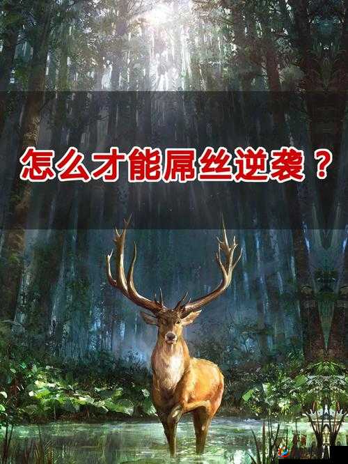 你好三国地下城解说，屌丝速逆袭