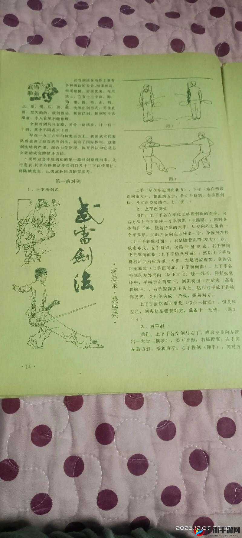 武林豪侠传中辟邪剑诀的演变史，它的奥秘与变迁究竟如何？