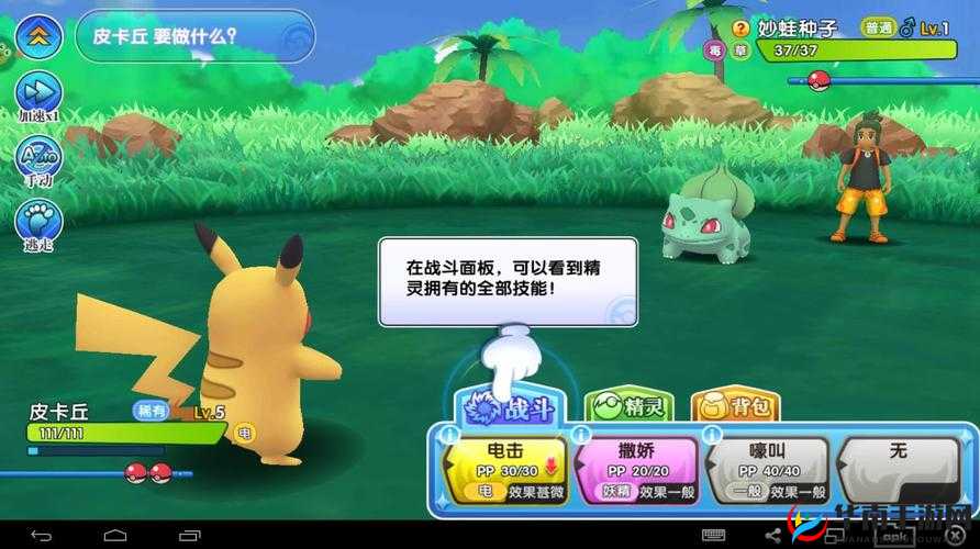 口袋妖怪日月激斗！世界联赛