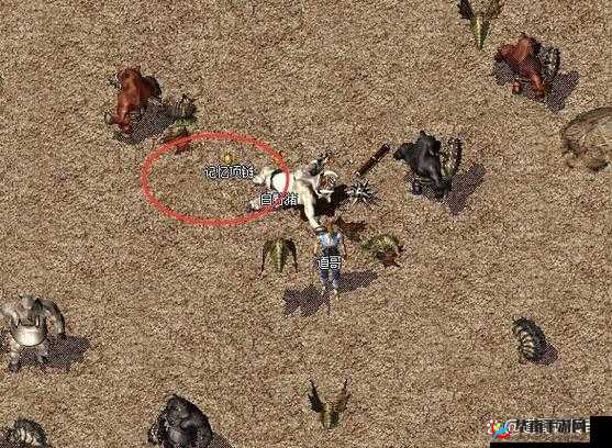 热血传奇手机版中，哪里能找到世界boss白野猪的踪迹？