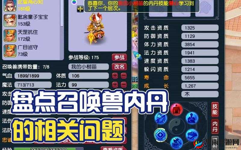 梦幻西游手游速宝宝内丹选择心得