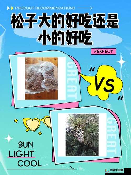 松鼠专属欢乐大星球，揭秘榛果孢子的合成之旅