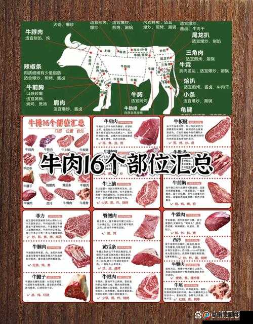 饮食男女究竟如何巧妙获取牛？深度解析与实用攻略大揭秘