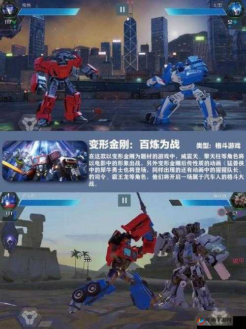 格斗家重生系统深度解析,解锁战斗新境界