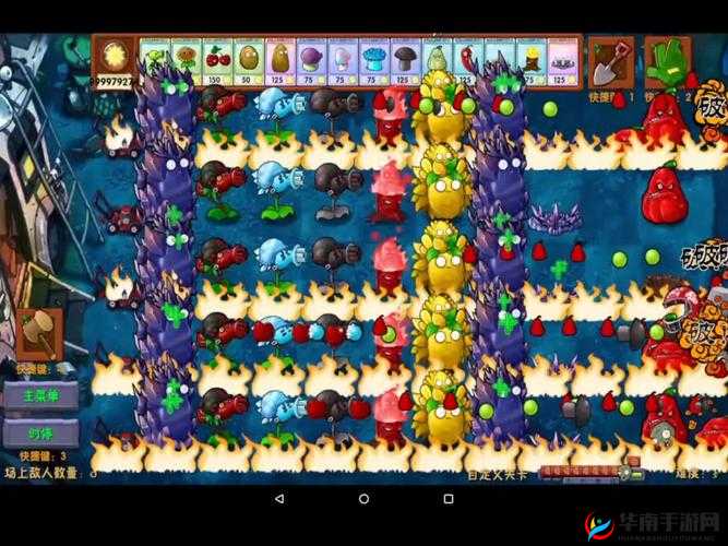 8版本阵容大洗牌？新版本中哪些强力伙伴将脱颖而出？