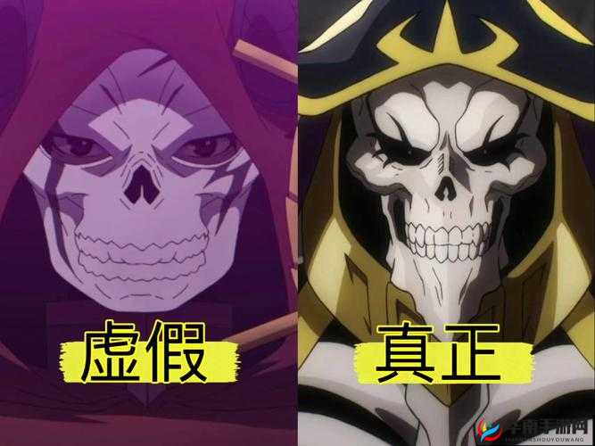 骷髅王在迷之国度惊奇之旅中究竟有何惊人属性？实战效果大揭秘！