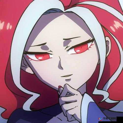 迷之国度惊奇之旅，刺客职业究竟如何？全方位深度解析