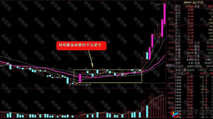 Never Gone与无敌流，一场游戏战法的深度解析