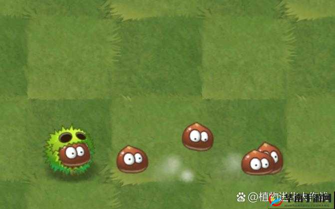 植物大战僵尸2高手必备，板栗小队如何搭配才能无敌？揭秘技巧！