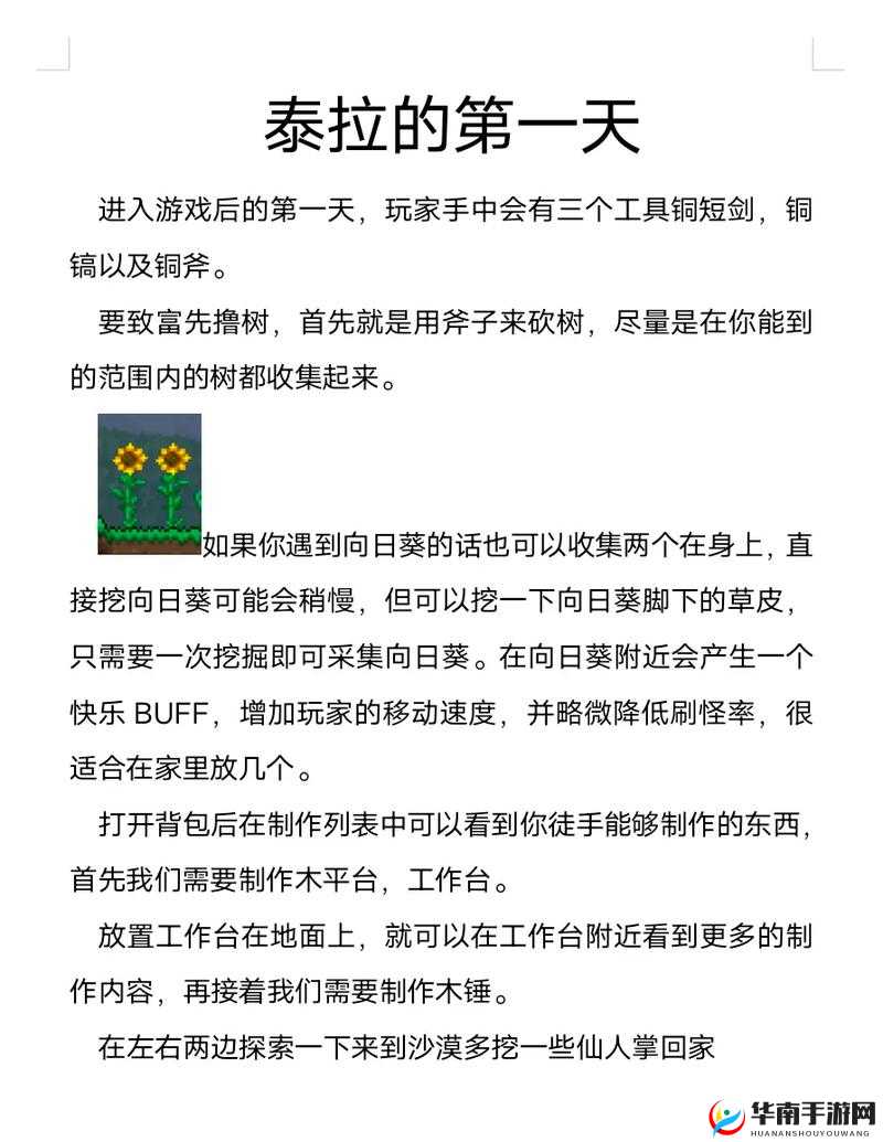 泰拉瑞亚刚进入游戏，如何开局才能走向巅峰