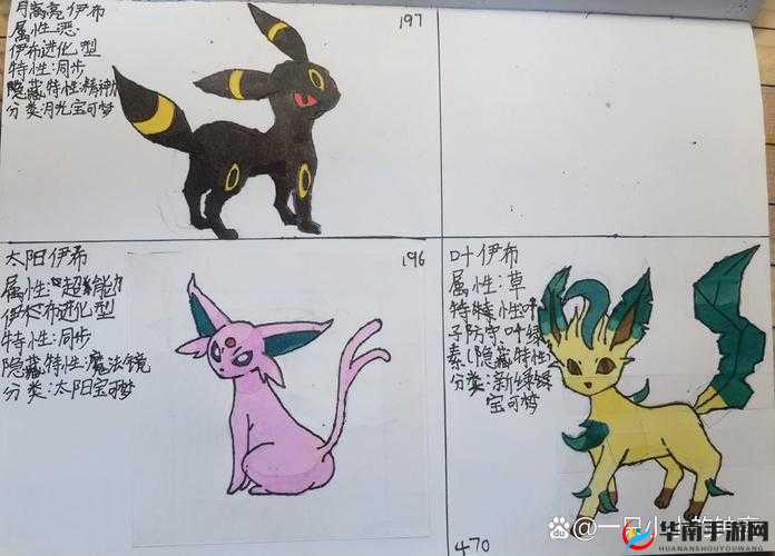 伊布应该什么时候抓?伊布抓捕时间详细介绍及未来玩法革命预测