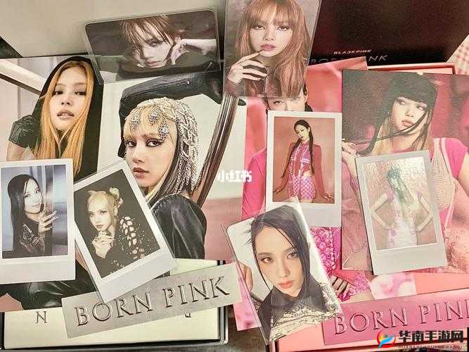 节奏大爆炸BLACKPINK新专辑突破千万[视频]在资源管理中的重要性及高效利用策略