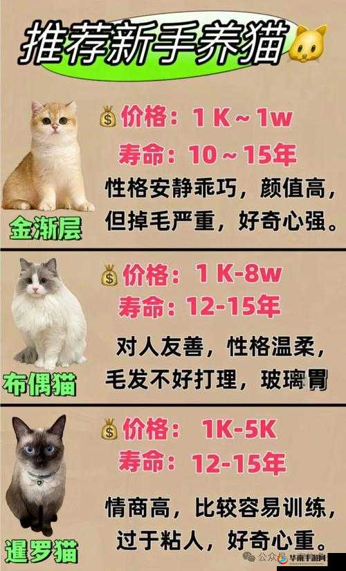 宠物属性优劣如何评判？探索宠物评判方法的历史演变之谜