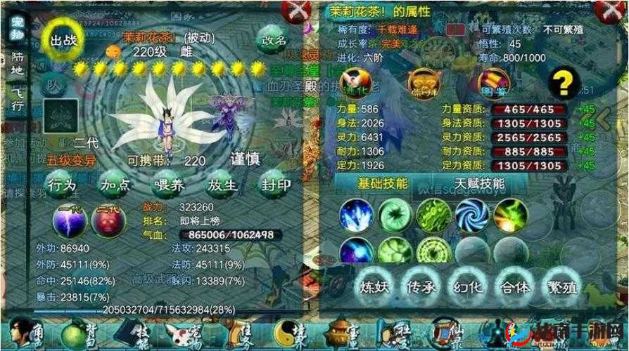 忘仙巫婆在升级过程中应优先提升哪些关键技能以最大化战斗效果？