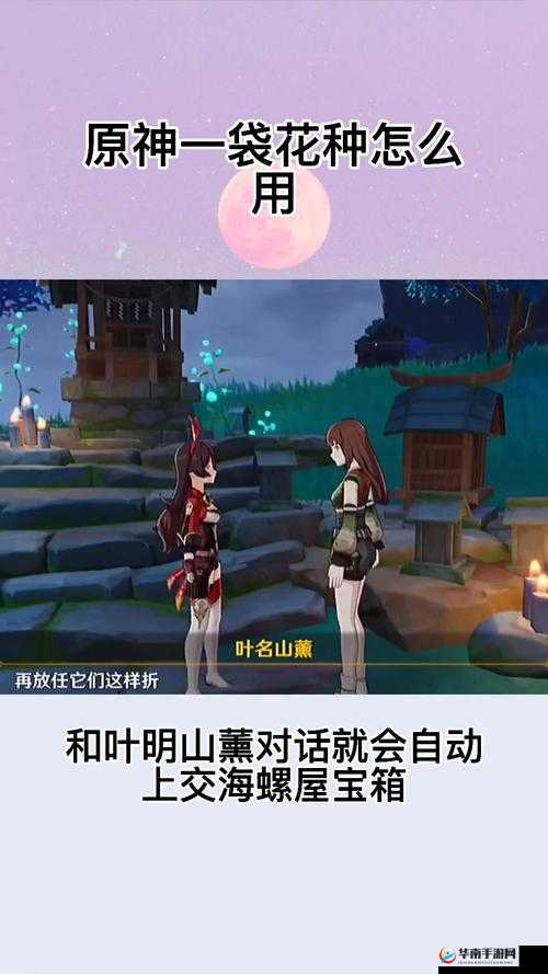 原神一袋花种你真的会用吗？全面解析隐藏功能与实战应用一览，挑战你的游戏认知