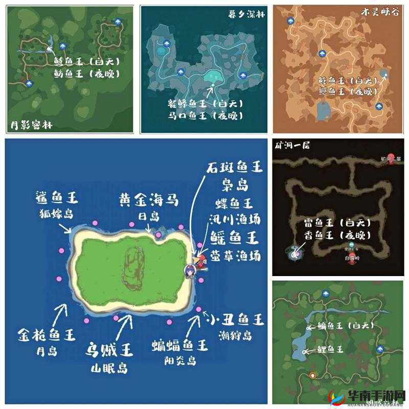 终极挑战小森生活全鱼类位置全解析,带你一网打尽所有稀有鱼种