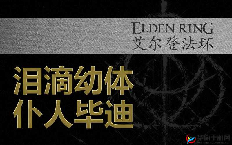 艾尔登法环仆人毕迪绝密生成点！30秒速刷攻略来了